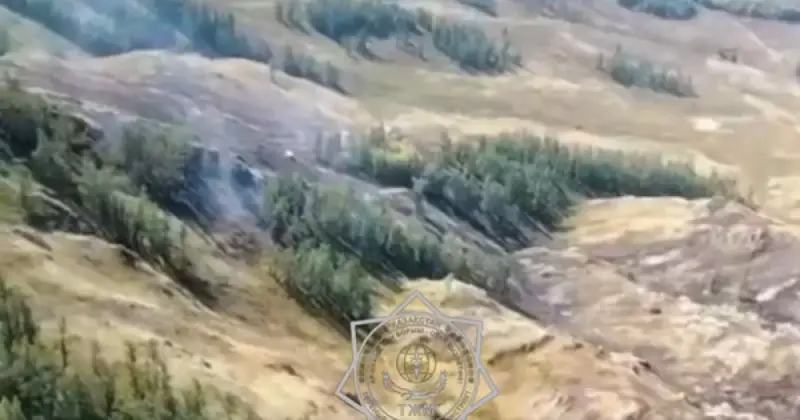  Марқакөл орман шаруашылығында табиғи өрт сөндірілуде 
