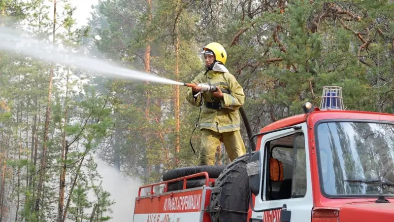Горячее начало осени: недельная сводка лесных пожаров в РК