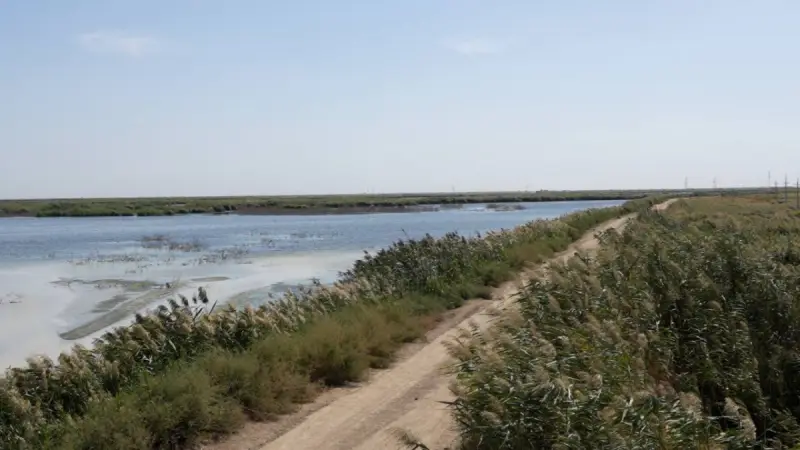 В Атырауской области принимают меры по установлению источников загрязнения воздуха