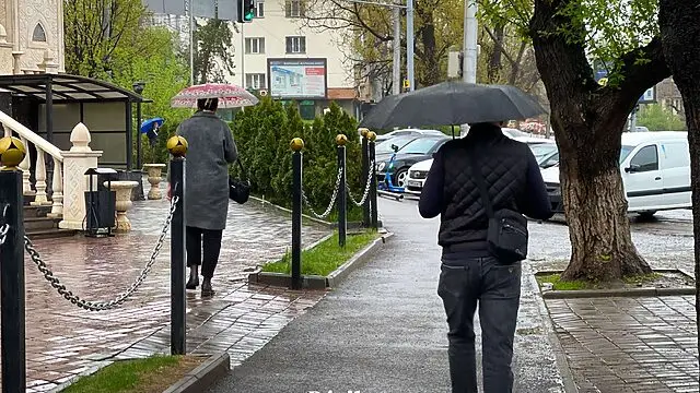 Синоптиктер 8 қыркүйекке арналған ауа райы болжамын жариялады