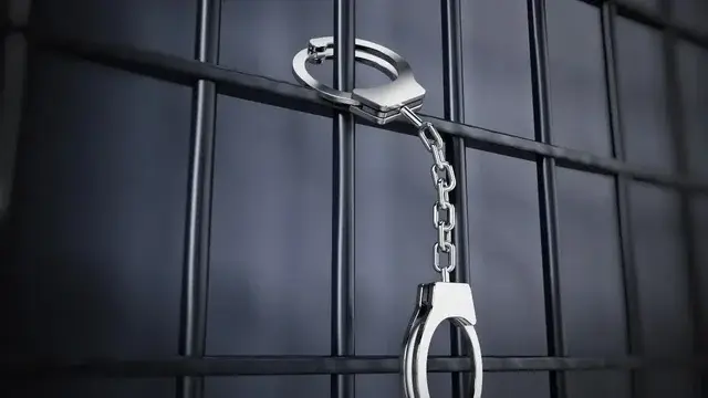 Қазақстанға 238 млн теңге залал келтірген күдікті Грузиядан экстрадицияланды