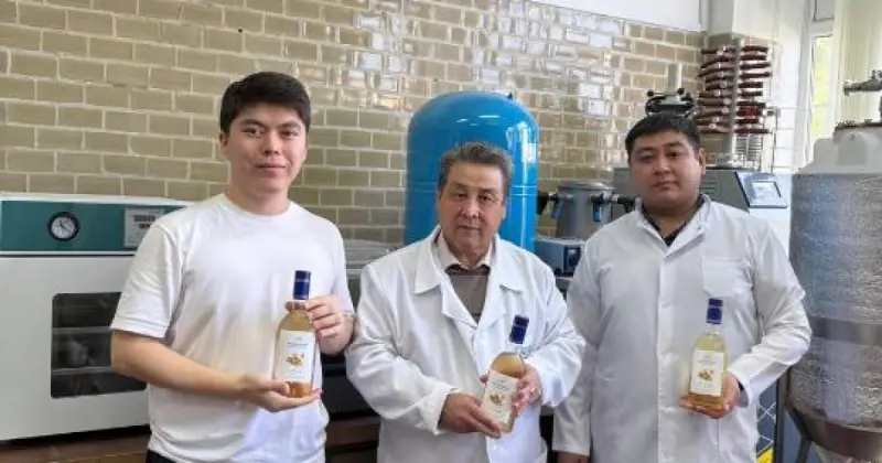   Қазақстанда бал мен зімбірден жаңа сусын әзірленді   