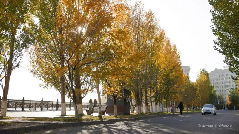 Циклон Қазақстанға бет алды: Бірнеше өңірде жаңбыр жауып, жел күшейеді