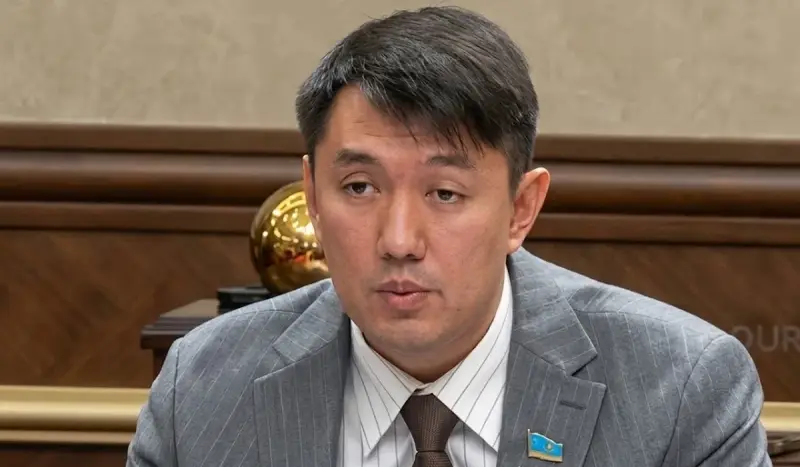 «Мүгедектік баланың болашағына кедергі болмауы керек»:  «Әділет» фракциясының депутаты Үкіметке талап қойды