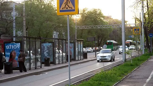 Жаяу жүргінші көлік алдына әдейі шықса, жауапкершілік кімге жүктіледі?