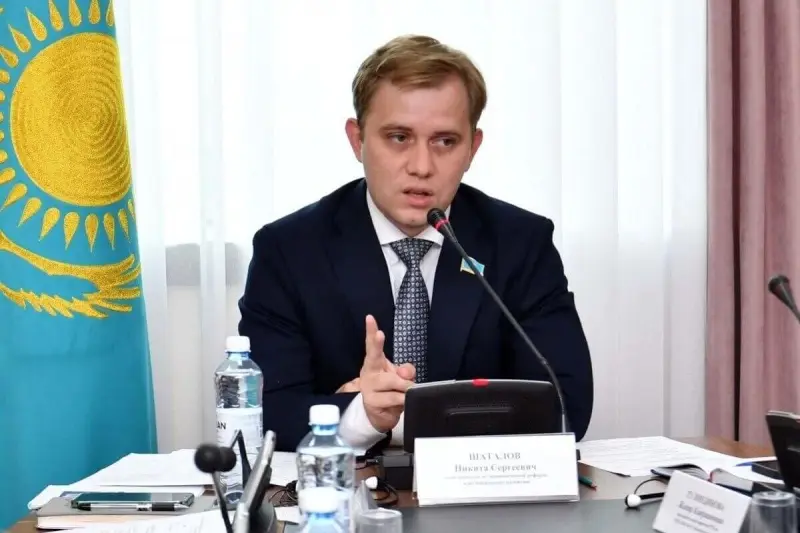 Что даст Казахстану новое экономическое партнерство с Кореей – депутат