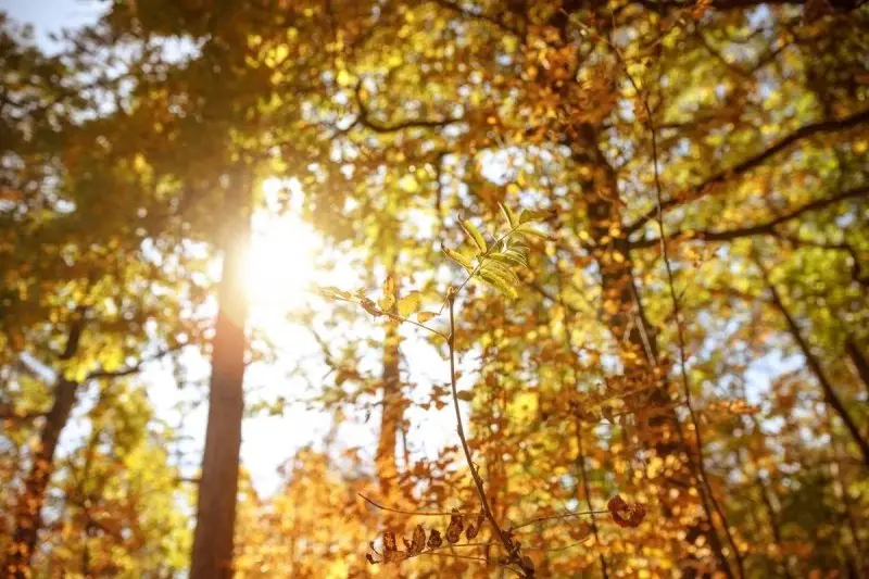 Тепло до +32 °C: прогноз погоды по Казахстану на выходные