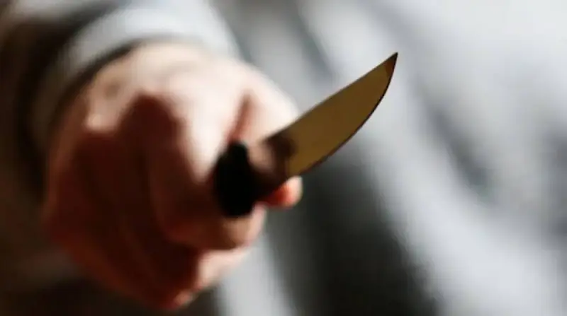 Қызылорда облысында тұрғынды пышақтаған жасөспірім ұсталды