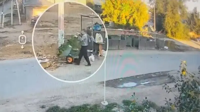 Почти 7 тысяч нарушений выявили в ЗКО: что нарушают жители