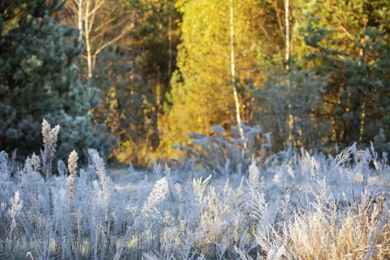 28 қыркүйекте Қазақстанның бірқатар өңірінде үсік жүреді