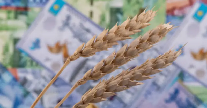  Батыс Қазақстанда мемлекетке 1,2 млрд теңге залал келтірген 5 күдікті ұсталды 