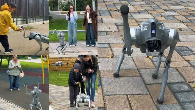 Абай облысында робот-ит қоғамдық тәртіпті сақтауға кірісті