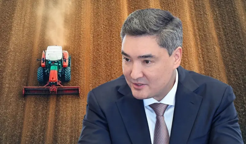 Урожай зерна в Казахстане превысит средние показатели