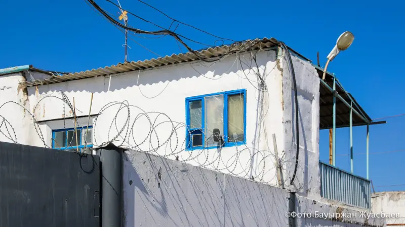Серийные скотокрады орудовали в области Абай