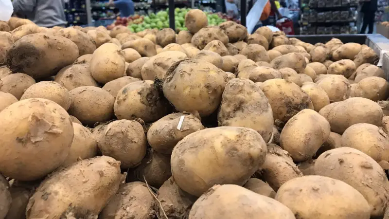 Урожай картофеля ожидается на уровне прошлого года – Минсельхоз