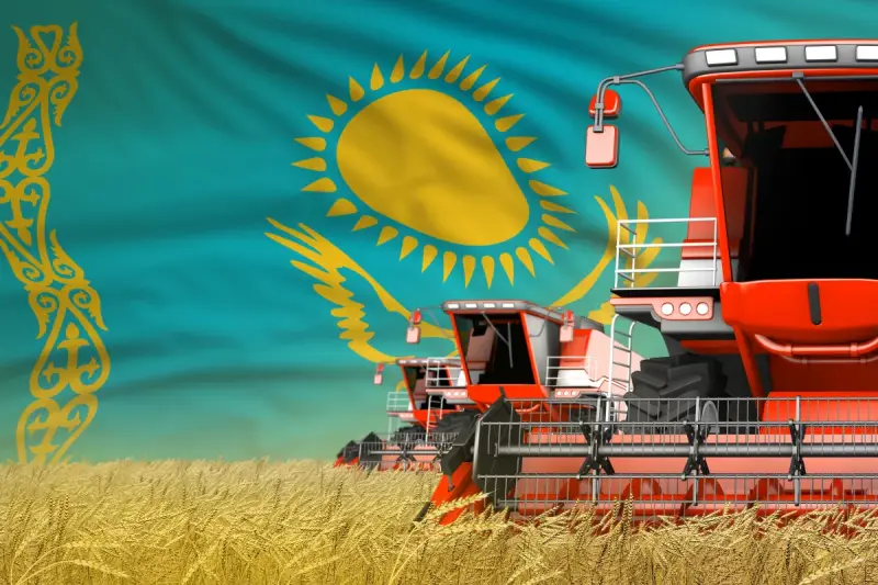 Қазақстанда 20 миллион тоннаға жуық астық жиналды