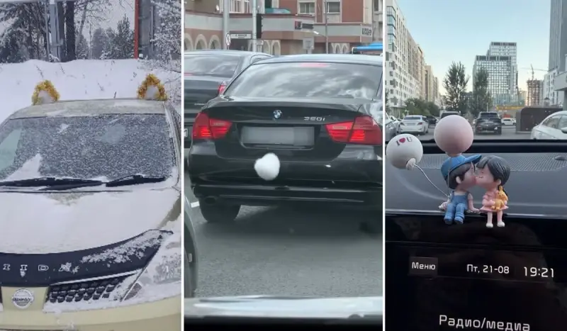 Хвост на BMW и «магическая» Kia: пользователи показали необычные украшения своих машин