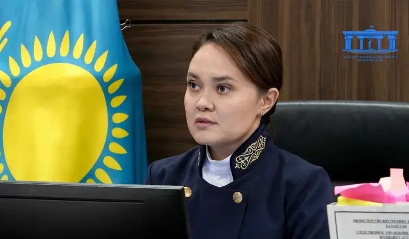 Перед последним словом по делу Улданы Мырзуан появилось новое ходатайство