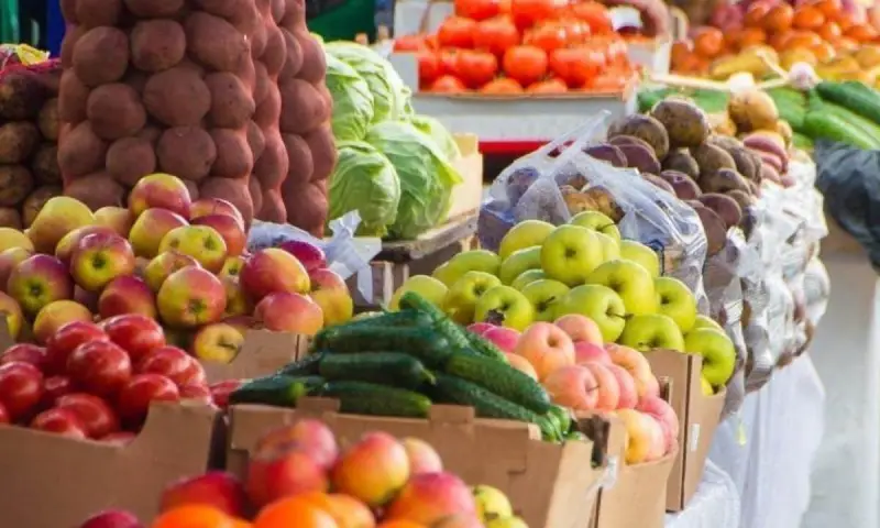 Фермеры из двух областей привезут в Астану более 400 тонн продуктов