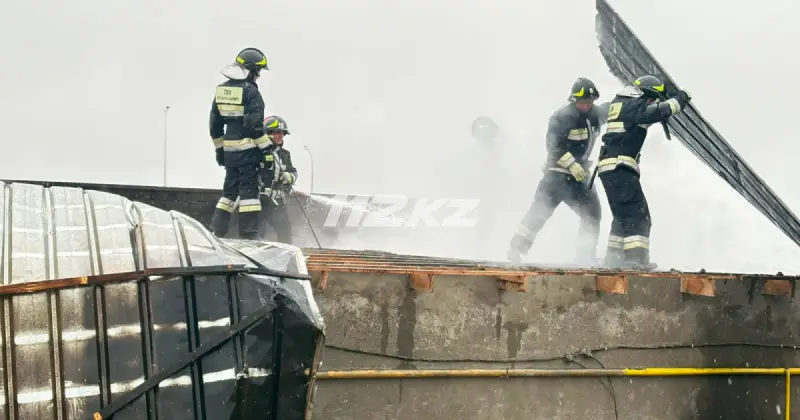   Түркістан облысында дәмхана өртенді   