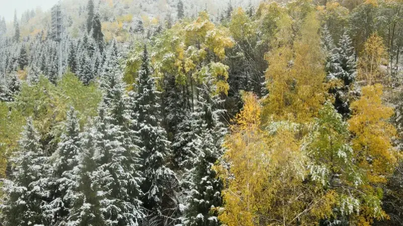Еліміздің бірнеше өңірінде қар жауып, боран соғады