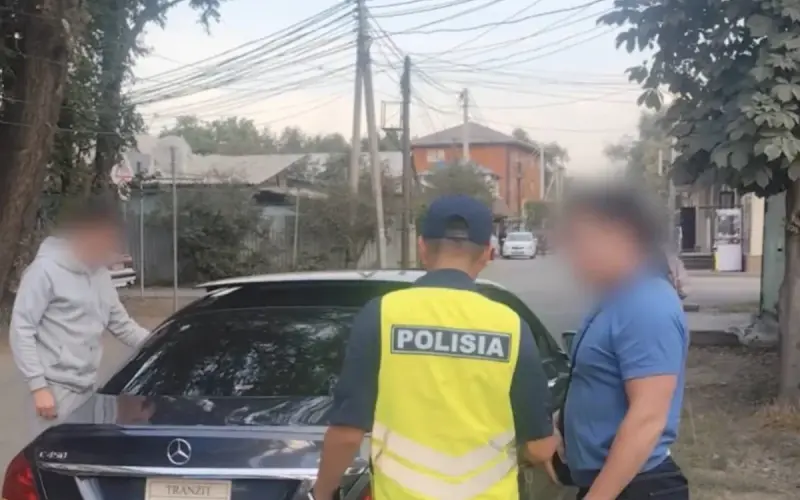 Мусор из окон авто: как полиция Алматы пресекает нарушения (видео)