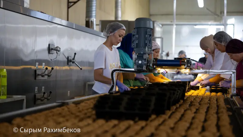 Как продукт из Караганды проходит путь до магазинной полки
