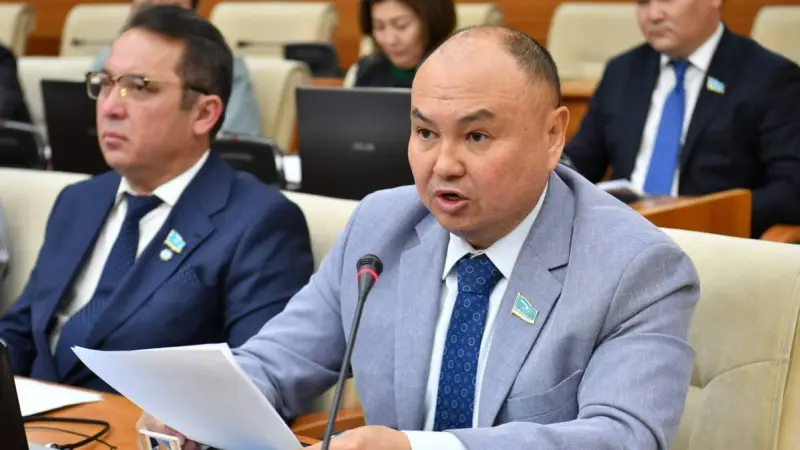 Депутат жаңа Конституция құндылықтарын білім беру жүйесіне енгізуді ұсынды