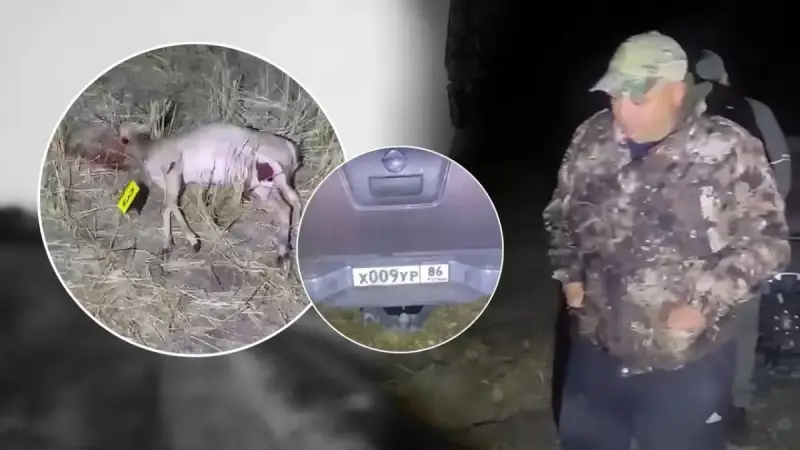 «Аман қалғаныма шүкір»: браконьерлер өлтіре жаздаған қорықшы неге БАҚ-қа жүгінді?