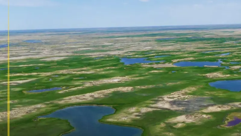 Іле-Балқаш өңіріндегі орманды қалпына келтіру тәжірибесі әлемге таныстырылды