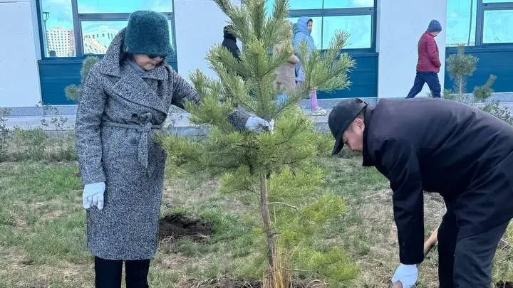 В Астане высадили деревья в честь дня донорства