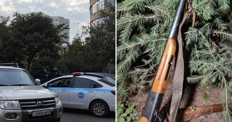 Опасная находка: оружие выбросили вместе с мусором в Алматы