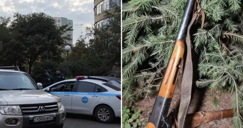 Алматыда қоқыс жәшігінің маңынан мылтық табылды