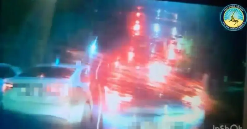  Павлодарда мас жүргізуші 7 жылға көлік басқару құқығынан айырылды 
