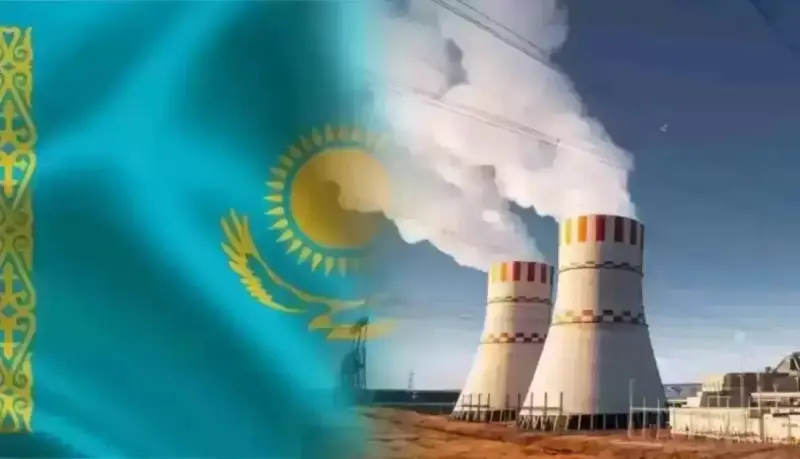 МАГАТЭ оценивает готовность Казахстана к строительству АЭС