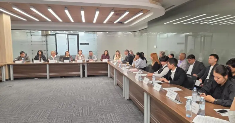   Қазақстан әуежайларында ерекше жолаушыларға қызмет көрсету тәртібі жетілдіріледі   