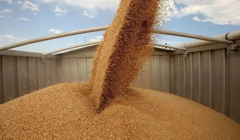 Объем продукции сельского хозяйства Казахстана превысил 7 трлн теңге