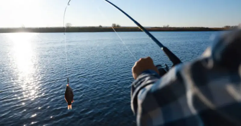  Ақмола облысында балық аулауға барған зейнеткер өзенге батып кетті 
