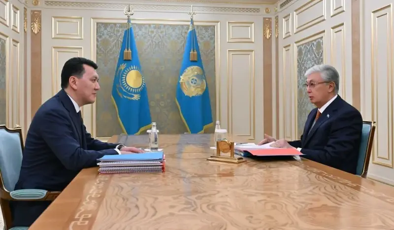 Токаев заслушал отчет Карина и дал поручения