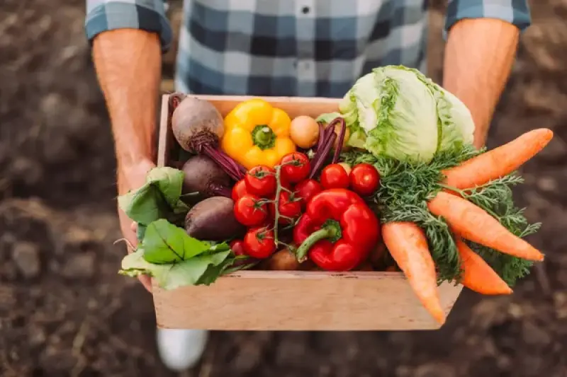 Производство продуктов питания в Казахстане продолжает расти
