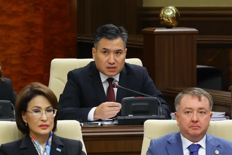 Әлеуметтік қолдауды бөлу кезінде кірістермен қатар, шығыстар да ескеріледі - министр