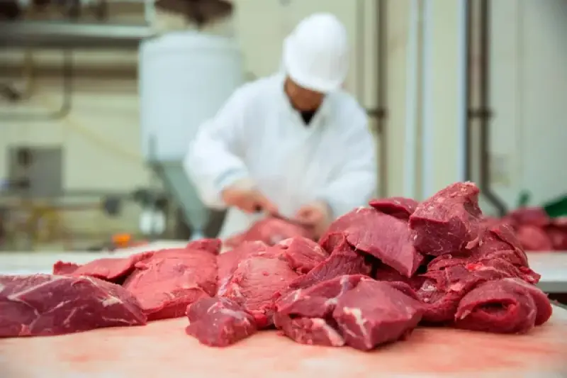 В Казахстане произведено 846,5 тыс. тонн мяса
