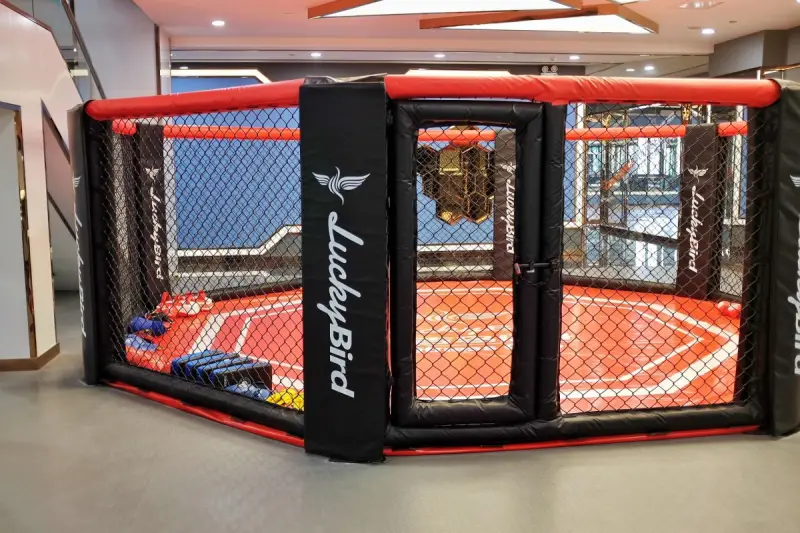 Казахстанский боец UFC призвал страну поддержать его перед большой битвой