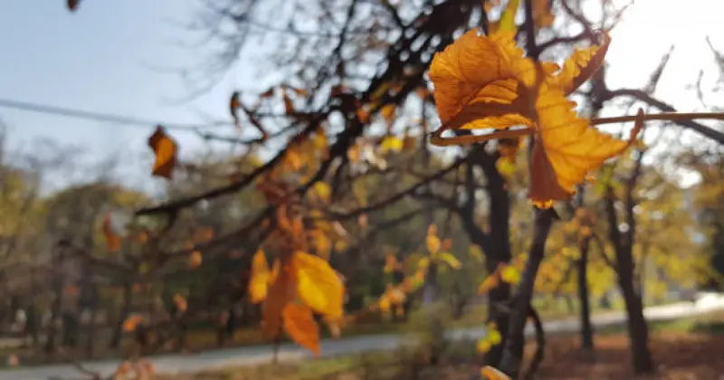  Демалыс күндері ауа-райы +25 градусқа дейін жылиды 