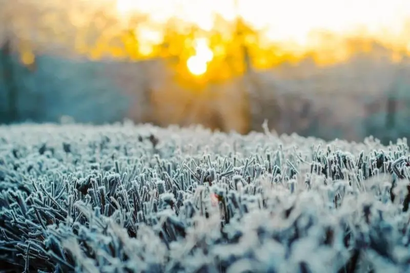 Снег, пыльные бури и заморозки до -7 °C: погода в Казахстане 18 октября