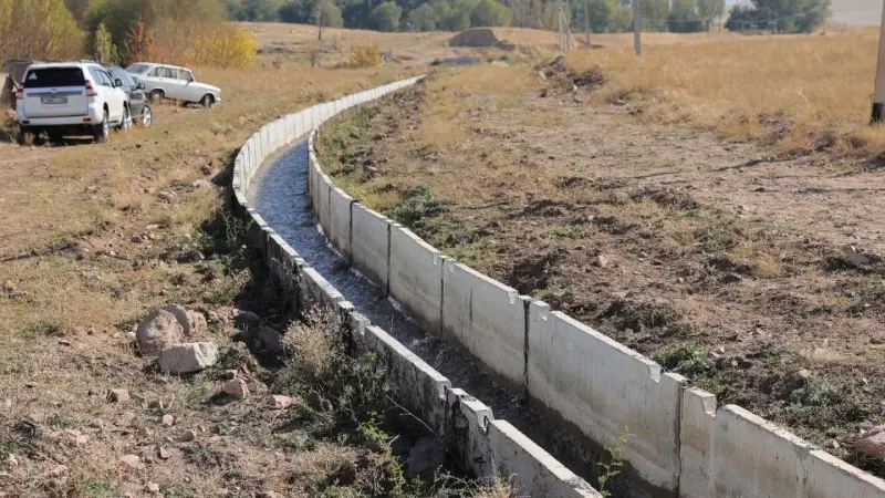 40 тысяч га земли в Жамбылской области предоставили пользователям для пастбищных целей