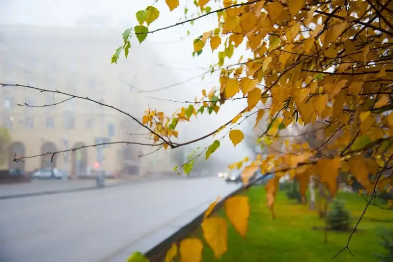 Қазақстанда 19 қазанда жаңбыр жауып, тұман түсуі мүмкін