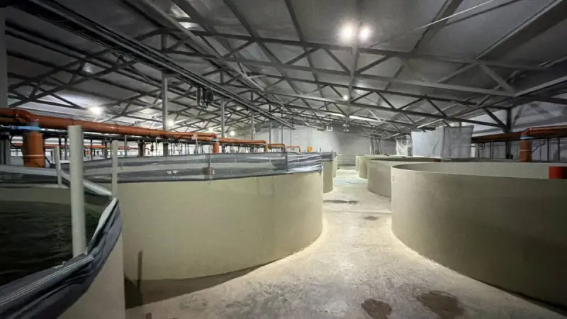 Завод по производству кормов для рыб построят в Акмолинской области