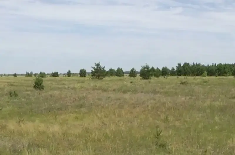 Отказали в земле незаконно: в Костанайской области наказали госслужащих