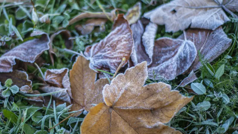Қазақстанның 17 өңірінде дауылды ескерту жарияланды